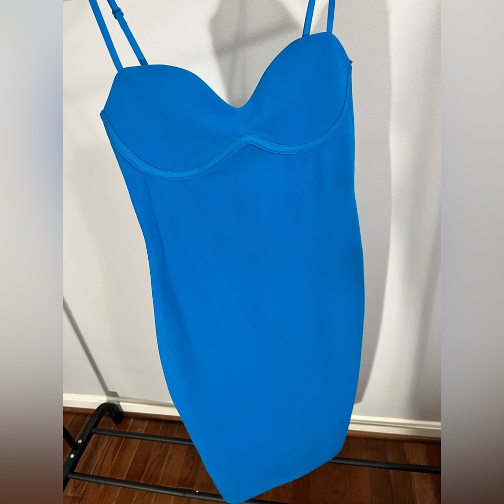 Zara Bodycon Dress